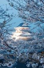 91麻豆国产专区在线观看-不容错过的视界盛宴——91麻豆国产专区的独特魅力