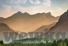 av麻豆黄色网站-如何正确看待网络信息，拒绝不良网站诱惑