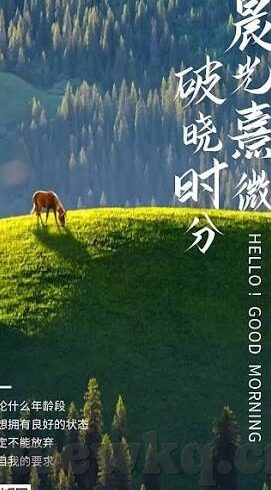 国产av中文麻豆-国产影视新视界，探索国产AV中文麻豆的独特魅力
