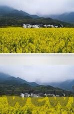 麻豆91网-麻豆91网，网络涩情内容的警示之光