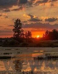 麻豆av系列-多元文化的当下，麻豆av系列的文化解读与影响