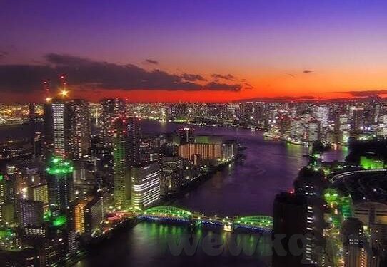 欧美视频成人在线-欧美视频成人在线，文化、艺术与个人选择的交汇点