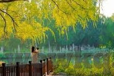 欧洲亚洲一区二区-欧洲与亚洲，一区二区的文化交融与独特魅力
