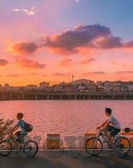 夜里必用app糖心-夜幕下的守护，解析夜里必用APP糖心